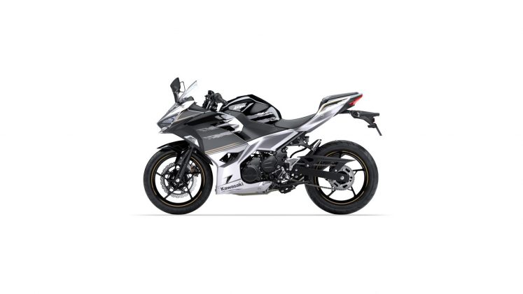 2019 Kawasaki Ninja 250