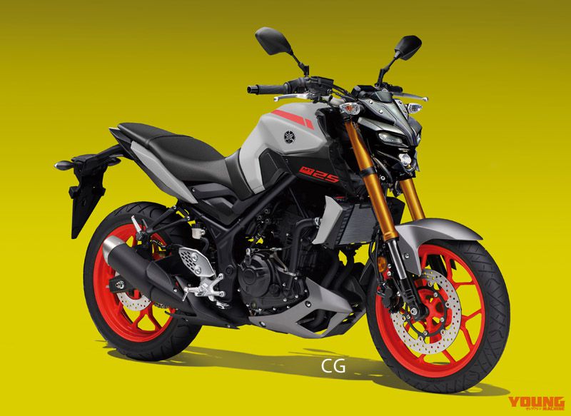 Yamaha MT-25 Young Machine