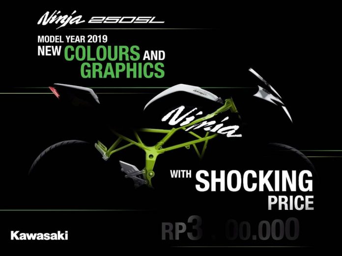 Kawasaki Ninja 250 SL MY 2019