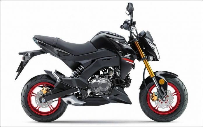 Kawasaki Z125 Pro 2021 Hitam