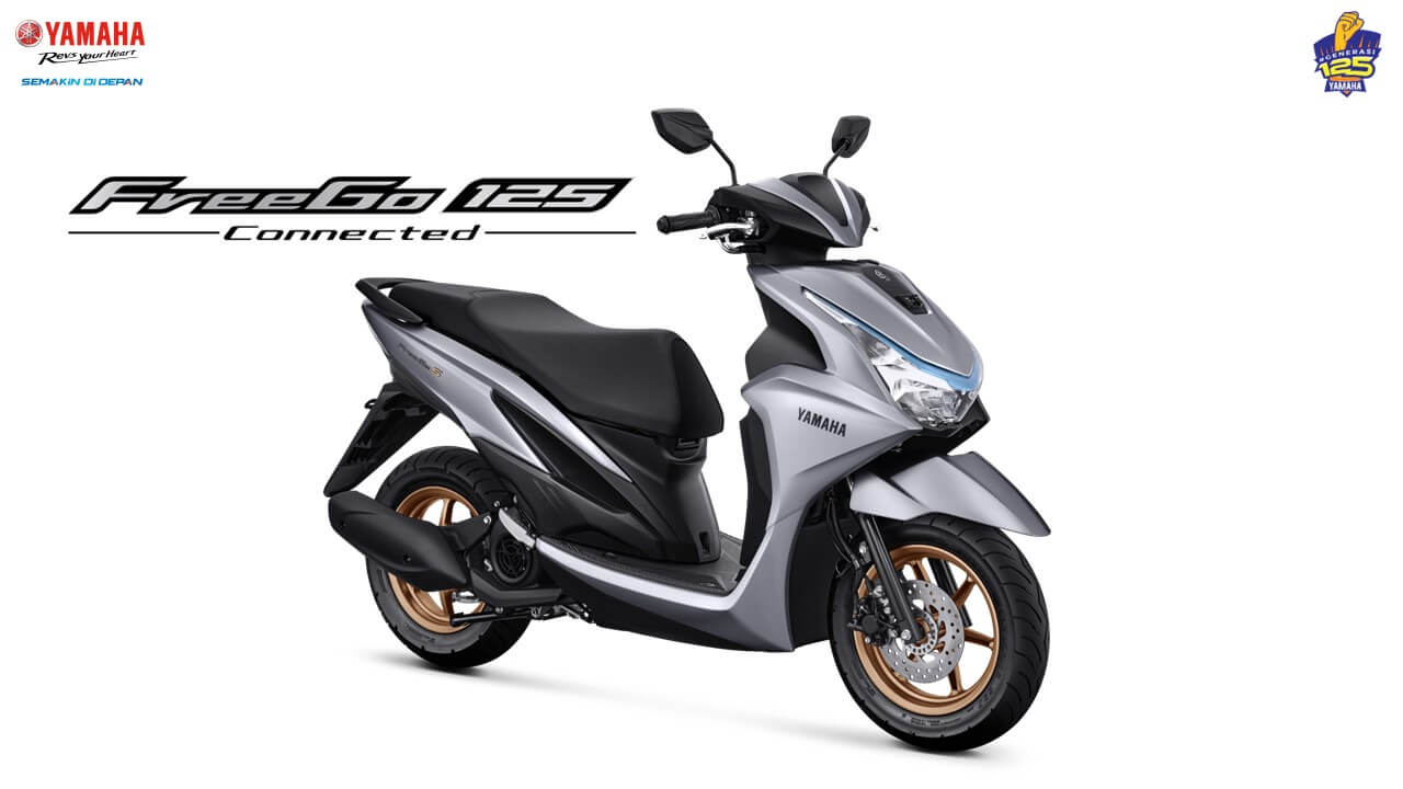 FreeGo 125 2024 Silver